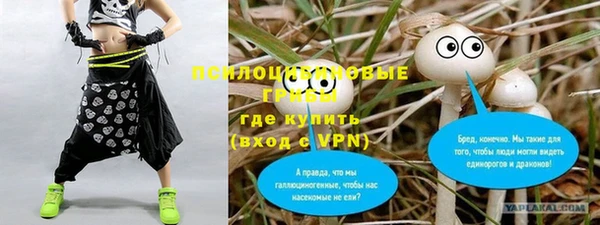 мескалин Алексин