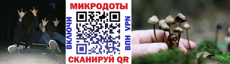 Псилоцибиновые грибы Cubensis  Межгорье 
